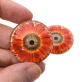 Red Orange Sunflower Glass Eyes