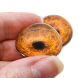 High Domed Orange Tiger Glass Eyes