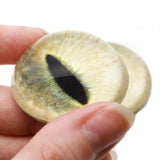High Domed Pale Yellow Realistic Cat Glass Eyes
