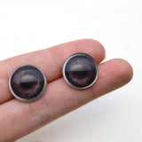 Dark Brown Raccoon Glass Eyes