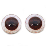 Dark Brown Human Glass Eyes with Whites