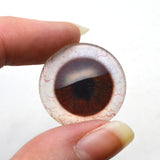 Dark Brown Human Glass Eyes with Whites