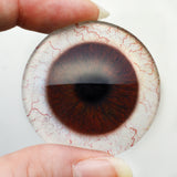 Dark Brown Human Glass Eyes with Whites