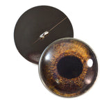 Sew On Buttons Redtail Hawk Glass Eyes
