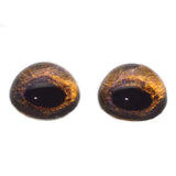 High Domed Redtail Hawk Glass Eyes