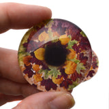 Richly Colored Autumn Leaves Glass Eyes