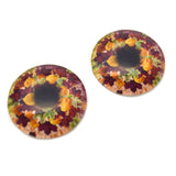 Richly Colored Autumn Leaves Glass Eyes