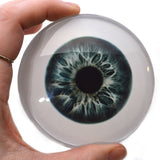 Sage Green and Blue Human Glass Eyes with White Scleras