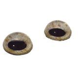 High Domed Sandy Eagle Glass Eyes