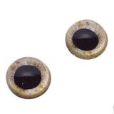 High Domed Sandy Eagle Glass Eyes