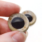 High Domed Sandy Eagle Glass Eyes