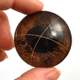 Creepy Scarecrow Halloween Prop Glass Eye