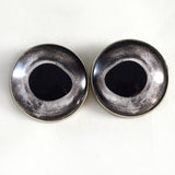 silver fish button eyes