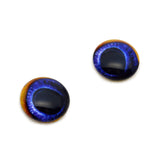 Blue Toucan Bird Glass Eyes
