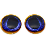 Blue Toucan Bird Glass Eyes
