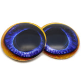 Blue Toucan Bird Glass Eyes