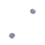 Walleye Iridescent Fish Glass Eyes