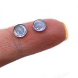 Walleye Iridescent Fish Glass Eyes