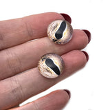 Asian Whip Snake or Dragon Glass Eyes