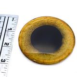 Large 78mm Yellow Owl 3 Inch Glass Eyes