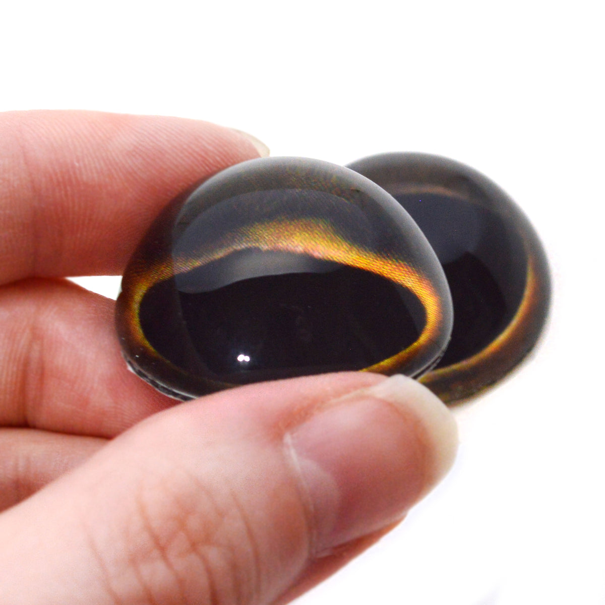 High Domed Yellowtail Dark Fish Glass Eyes Handmade Glass Eyes