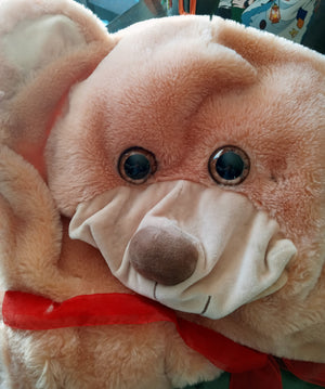 Tornado Salvaged Teddy Bear