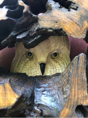 Wooden Owl Carving in Hallowed Out Log