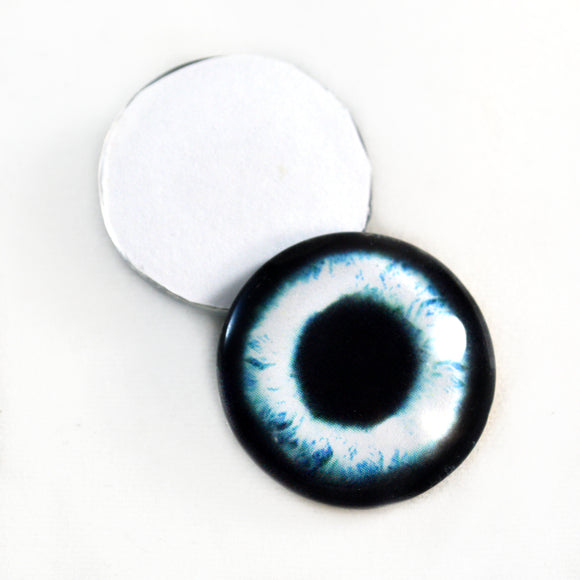 Flat Back Glass Eyes and Cabochons
