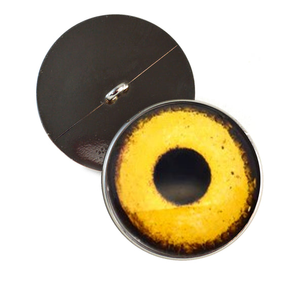 Golden eagle inspired glass sew on eyes