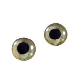 10mm Eagle Glass Eyes