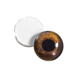 16mm Redtail Hawk Glass Eyes