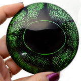Green Frog Glass Eyes