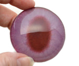 Albino Rabbit Glass Eyes