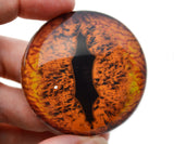 Alpha Dragon Glass Eyes