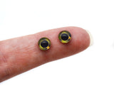 tiny 6mm Altum Angelfish Glass Eyes