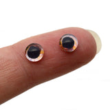 6mm Small Barracuda Glass Eyes