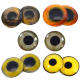 Bird of Prey Inspired Glass Eye Bundle