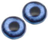 Blue Dog Glass Eyes