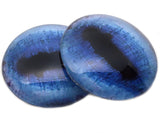 Blue Goat Glass Eyes