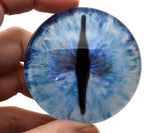 Blue Ice Dragon Glass Eyes