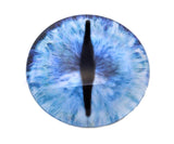 Blue Ice Dragon Glass Eyes