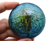 Blue Lizard Reptile Glass Eye