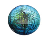 Blue Lizard Reptile Glass Eye