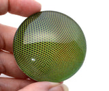 Bright green shiny robber fly glass eyes