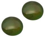 Bright green shiny robber fly glass eyes