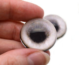 High Domed Gray Weimaran Dog Glass Eyes