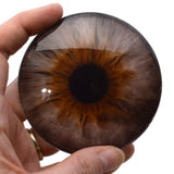 Hazelnut Gray and Brown Human Glass Eyes