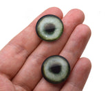 16mm Light Green Weimaran Dog Glass Eyes