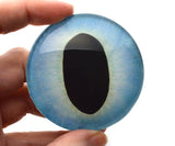 Glass eye with blue and black design held by a hand against a white background