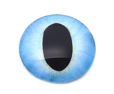 Blue and black dragon glass eye on a white background